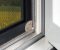 insect-protection-tenter